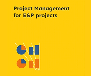 Project Management for E&P projects