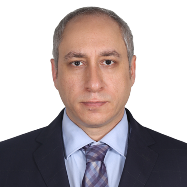Engineer Shervin Karimianpour